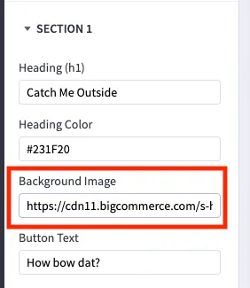 example of image input